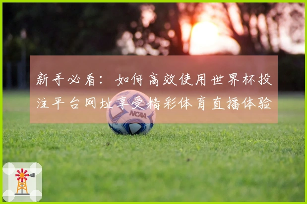 新手必看：如何高效使用世界杯投注平台网址享受精彩体育直播体验