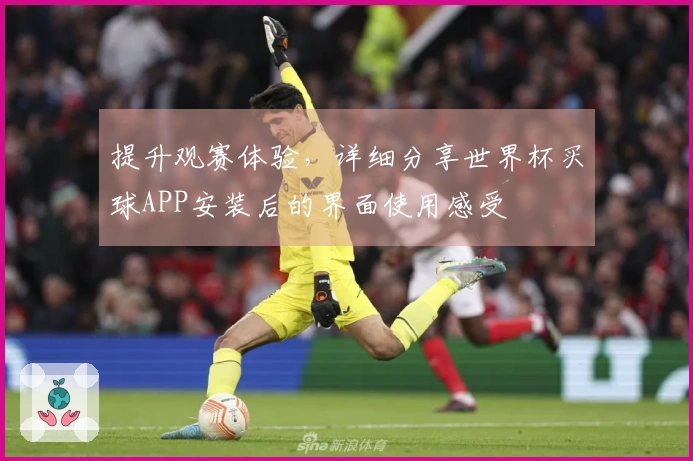 提升观赛体验,详细分享世界杯买球APP安装后的界面使用感受