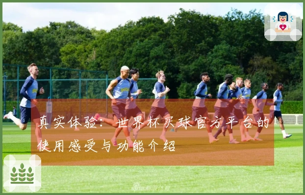 真实体验：世界杯买球官方平台的使用感受与功能介绍
