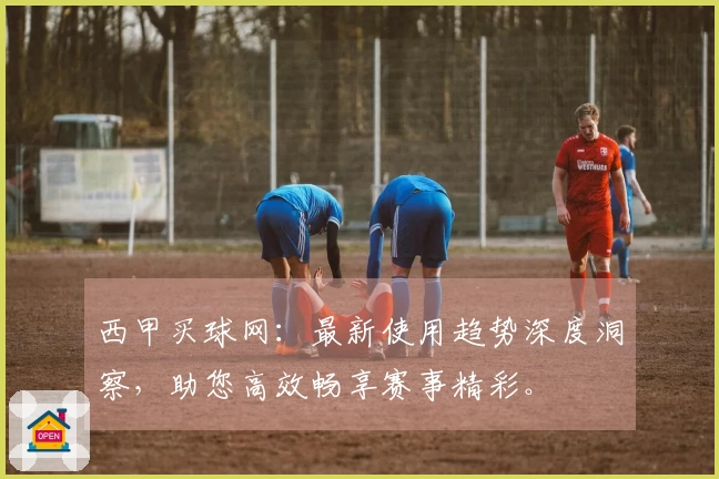 西甲买球网：最新使用趋势深度洞察，助您高效畅享赛事精彩。